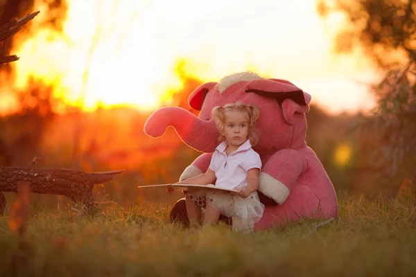 Όμορφο κοριτσάκι και ροζ ελέφαντας. Κορίτσι που παίζει με ένα μαλακό παιχνίδι σε μια φωτοθερινές γήπεδο στο ηλιοβασίλεμα — Φωτογραφία Αρχείου