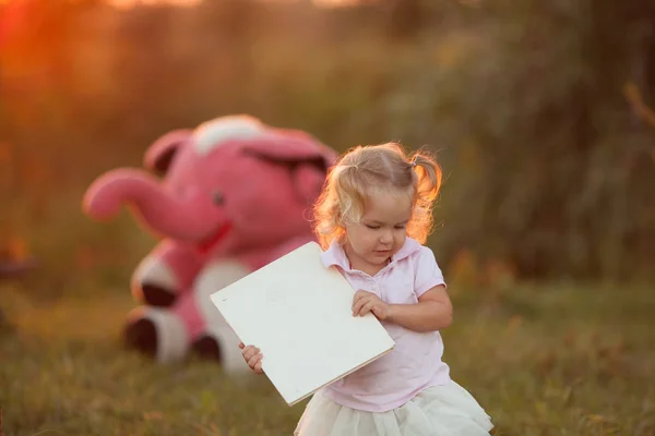 Hübsches kleines Mädchen und rosa Elefant. Mädchen spielt mit einem Stofftier auf einem Foto von einem Sommerfeld bei Sonnenuntergang — Stockfoto