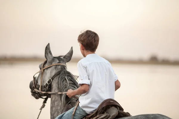 Jonge jongen vol vertrouwen galopperend paard op het veld — Stockfoto