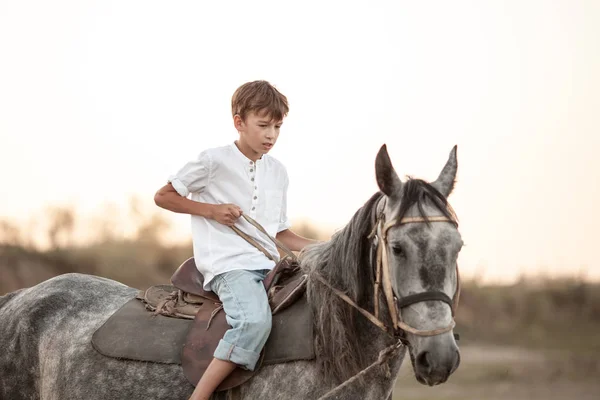 Jonge jongen vol vertrouwen galopperend paard op het veld — Stockfoto