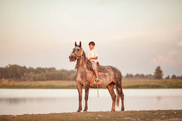 Молодий хлопець впевнений, що коня на полі — стокове фото
