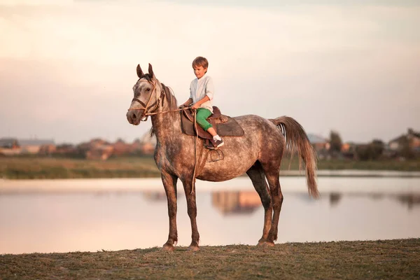 Jonge jongen vol vertrouwen galopperend paard op het veld — Stockfoto