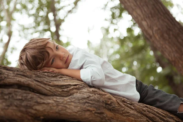 Trauriger Junge liegt auf einem Baum im Sommerpark — Stockfoto