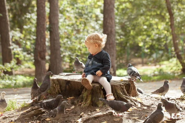 Bonita niña alimentando palomas en el parque de otoño —  Fotos de Stock