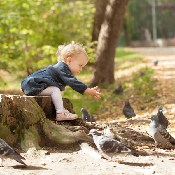 Mooi klein meisje voeden duiven in herfst Park — Stockfoto