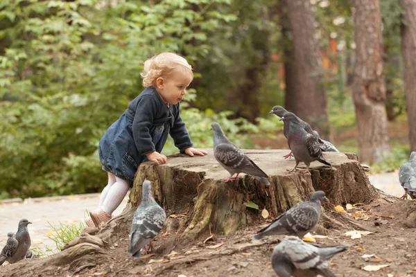 Mooi klein meisje voeden duiven in herfst Park — Stockfoto