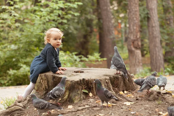 Menina bonita alimentando pombos no parque de outono — Fotografia de Stock