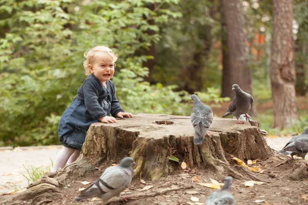 Menina bonita alimentando pombos no parque de outono — Fotografia de Stock