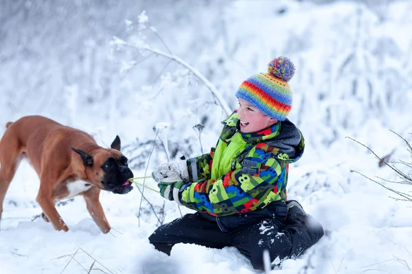 Portret van gelukkige jongen met de hond in de hoed op winter bos achtergrond — Stockfoto