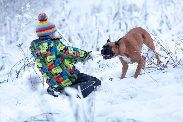 Portret van gelukkige jongen met de hond in de hoed op winter bos achtergrond — Stockfoto