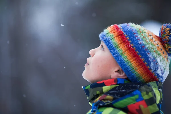 一个美丽的男孩的肖像，一个孩子抓住我的雪花 — 图库照片