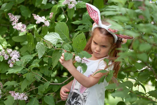 Una chica con orejas de conejo en la cabeza recoge flores lila —  Fotos de Stock