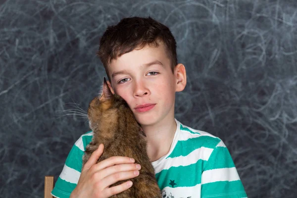 Porträt eines Teenagers mit einer Katze auf grauem Hintergrund — Stockfoto