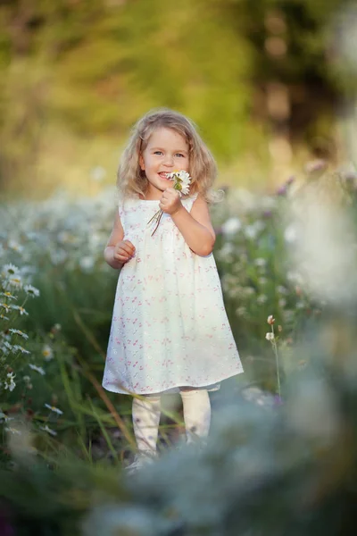 Pequena menina bonito com buquê de flores de camomila — Fotografia de Stock