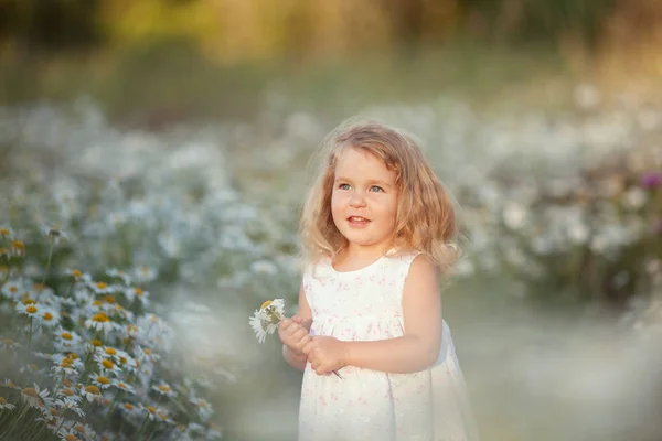 Pequena menina bonito com buquê de flores de camomila — Fotografia de Stock