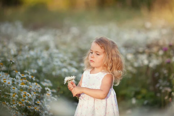Petite fille mignonne avec bouquet de fleurs de camomille — Photo