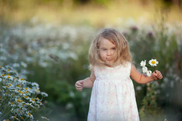 Petite fille mignonne avec bouquet de fleurs de camomille — Photo