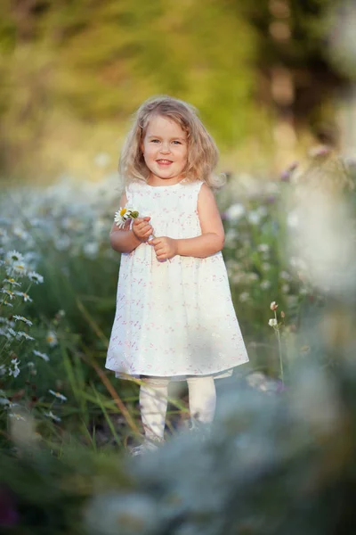 Pequena menina bonito com buquê de flores de camomila — Fotografia de Stock