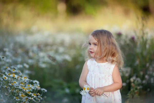 Το μικρό χαριτωμένο κορίτσι με μπουκέτο από λουλούδια χαμομηλιού — Φωτογραφία Αρχείου