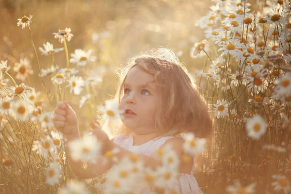 Pequena menina bonito com buquê de flores de camomila — Fotografia de Stock