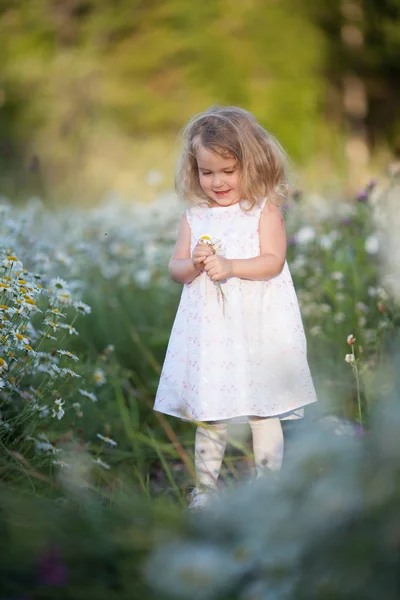 Piccola ragazza carina con mazzo di fiori di camomilla — Foto Stock