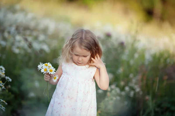 Pequena menina bonito com buquê de flores de camomila — Fotografia de Stock