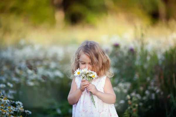 Pequena menina bonito com buquê de flores de camomila — Fotografia de Stock