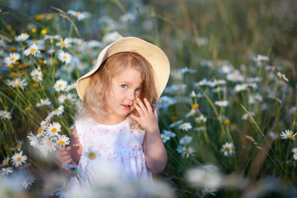 Little cute girl with bouquet of camomile flowers Stock Image