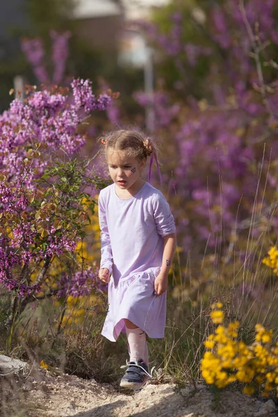 一个穿着紫色衣服 背景为紫树盛开的严肃小女孩的画像 一个孩子带着盛开的樱桃在花园里走着 — 图库照片