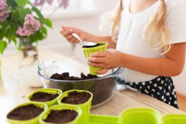 Beyaz tişörtlü küçük bir kız yeşil saksılara bezelye tohumu ekiyor, bir çocuk bitkilerle ilgileniyor, pencerenin kenarında bir ev bahçesi var.