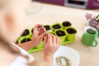 Beyaz tişörtlü küçük bir kız yeşil saksılara bezelye tohumu ekiyor, bir çocuk bitkilerle ilgileniyor, pencerenin kenarında bir ev bahçesi var.