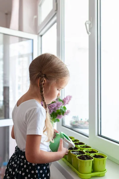 Маленькая Девочка Белой Футболке Сажает Семена Гороха Зеленые Горшки Ребенок — стоковое фото