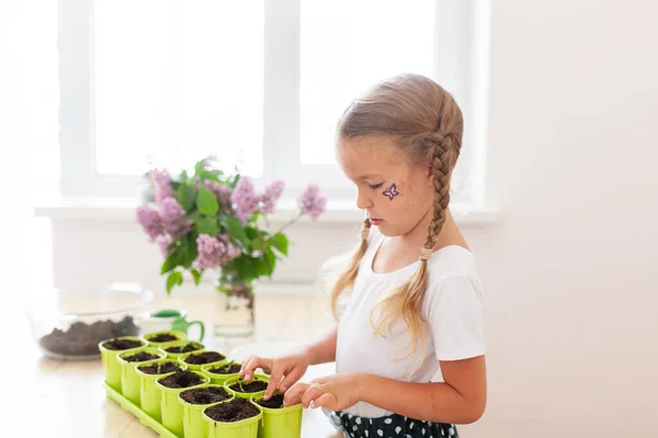 Kleines Mädchen Weißen Shirt Pflanzt Erbsensamen Grüne Töpfe Ein Kind — Stockfoto