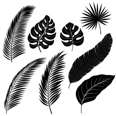 Yapraklar ve ağaç dalları, üzerinde beyaz izole palm palmiye ve muz siyah siluetler kümesi.