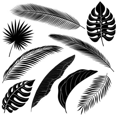 Yapraklar ve ağaç dalları, üzerinde beyaz izole palm palmiye ve muz siyah siluetler kümesi.