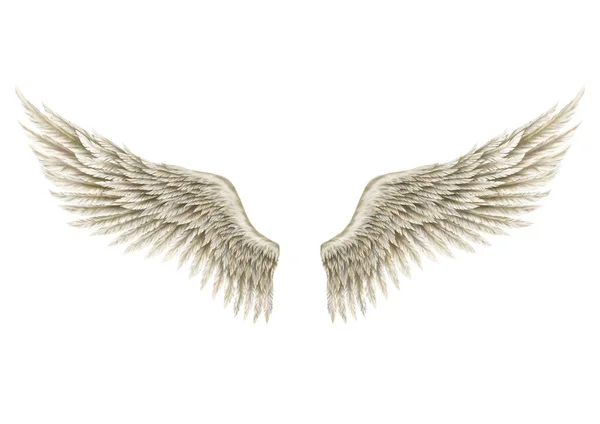 Wings of Angel — Stock Vector