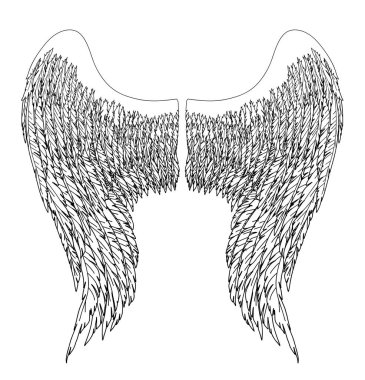 Meleklerin ya da baş meleğin el yapımı siyah ve beyaz kanatları, rütbe unsuru ya da arma. EPS 8.