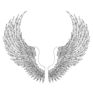 Meleklerin ya da baş meleğin el yapımı siyah ve beyaz kanatları, rütbe unsuru ya da arma. EPS 8.