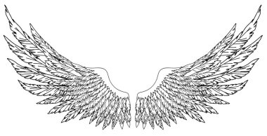 Meleklerin ya da baş meleğin el yapımı siyah ve beyaz kanatları, rütbe unsuru ya da arma. EPS 8.