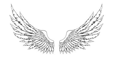 Meleklerin ya da baş meleğin el yapımı siyah ve beyaz kanatları, rütbe unsuru ya da arma. EPS 8.