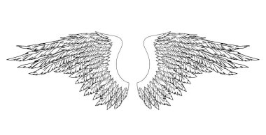 Meleklerin ya da baş meleğin el yapımı siyah ve beyaz kanatları, rütbe unsuru ya da arma. EPS 8.