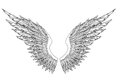 Meleklerin ya da baş meleğin el yapımı siyah ve beyaz kanatları, rütbe unsuru ya da arma. EPS 8.
