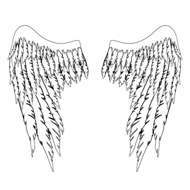 Meleklerin ya da baş meleğin el yapımı siyah ve beyaz kanatları, rütbe unsuru ya da arma. EPS 8.