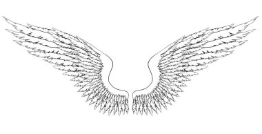 Meleklerin ya da baş meleğin el yapımı siyah ve beyaz kanatları, rütbe unsuru ya da arma. EPS 8.