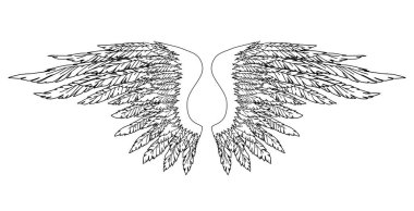 Meleklerin ya da baş meleğin el yapımı siyah ve beyaz kanatları, rütbe unsuru ya da arma. EPS 8.