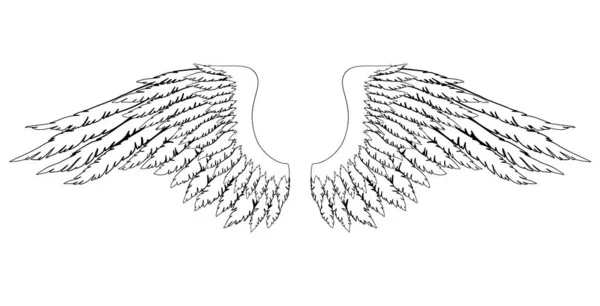 Schwarz Weiße Handgezeichnete Engel Oder Erzengelflügel Element Von Insignien Oder — Stockvektor