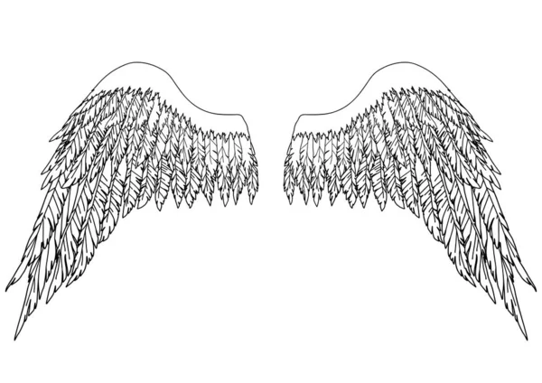 Чорно Білі Мальовані Крила Ангела Або Архангела Елемент Знаків Або — стоковий вектор