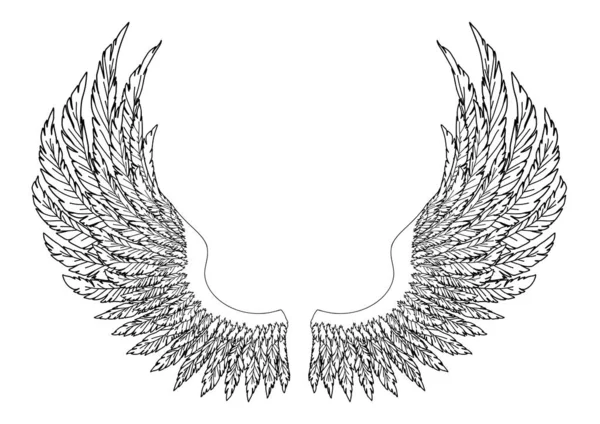 Чорно Білі Мальовані Крила Ангела Або Архангела Елемент Знаків Або — стоковий вектор
