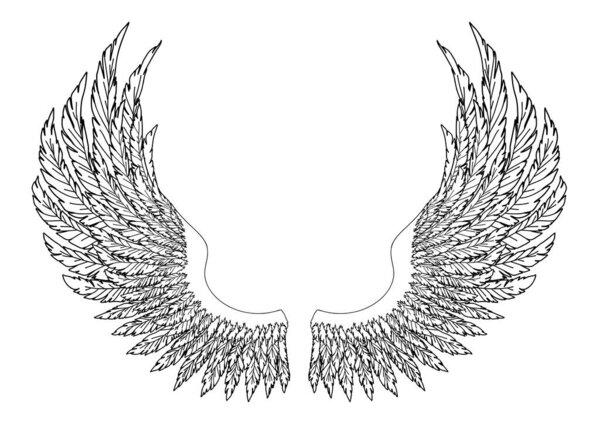 Черно-белые ручные крылья ангела или архангела, элемент знаков отличия или герба. EPS 8
.
