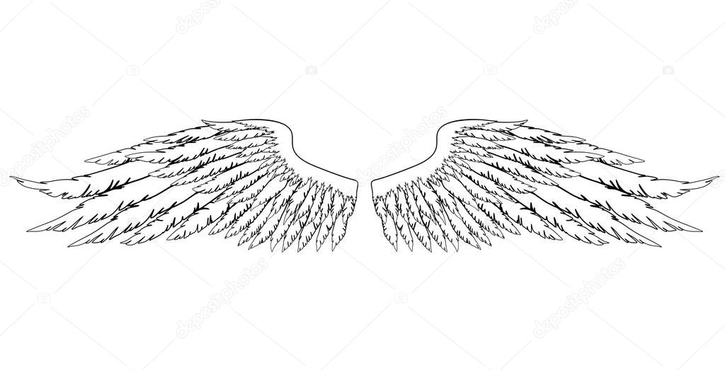 Black and white hand-drawn wings of angel or archangel, element of insignia or coat of arms. EPS 8.